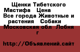 Щенки Тибетского Мастифа › Цена ­ 60 000 - Все города Животные и растения » Собаки   . Московская обл.,Лобня г.